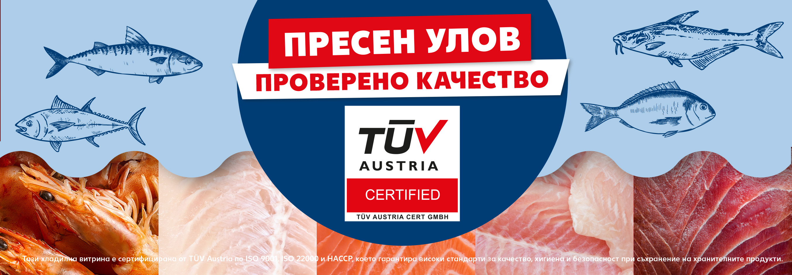 Пресен улов, проверено качество: риба в свежа опаковка от сертифицираната ни витрина